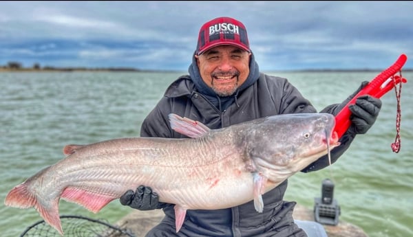 Blue Catfish Fishing in Dallas, Texas
