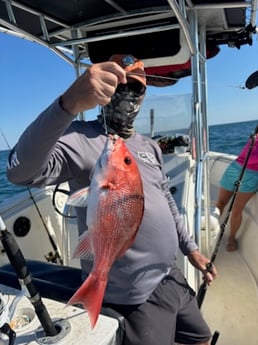 Fishing in Coden, Alabama