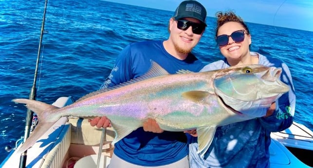 Amberjack Fishing in Clearwater, Florida