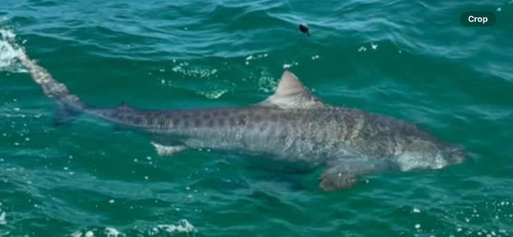 Fishing in Pensacola, Florida