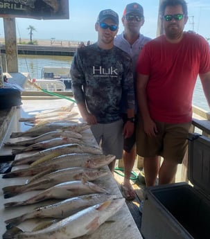 Speckled Trout / Spotted Seatrout fishing in Galveston, Texas