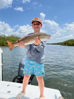 Fishing in Tampa, Florida