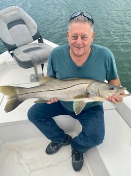 Snook fishing in Miami Beach, Florida