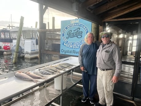 Black Drum, Redfish, Speckled Trout Fishing in Crystal River, Florida