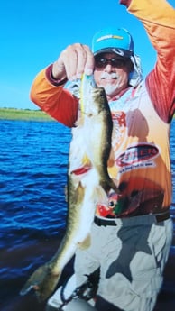 Fishing in Loxahatchee, Florida