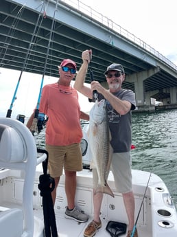 Fishing in Orange Beach, Alabama