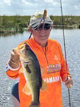 Fishing in Loxahatchee, Florida
