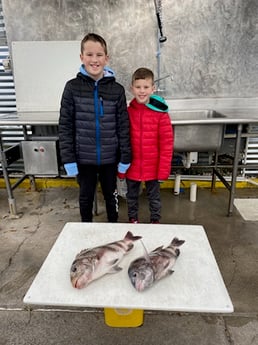 Sheepshead Fishing in Destin, Florida