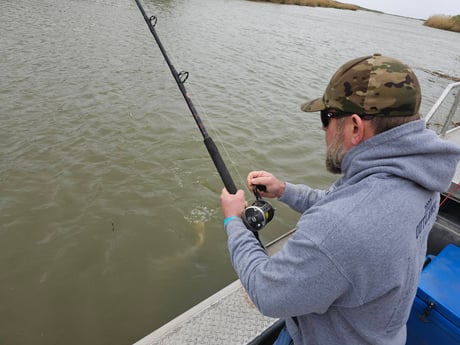Alligator Gar Fishing in Livingston, Texas