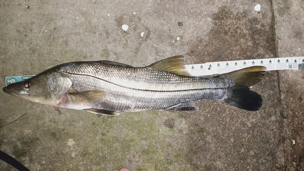 Fishing in Fort Pierce, Florida