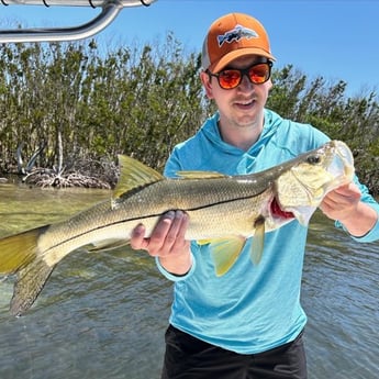 Snook Fishing in Cape Coral, Florida