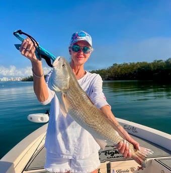 Fishing in Sarasota, Florida