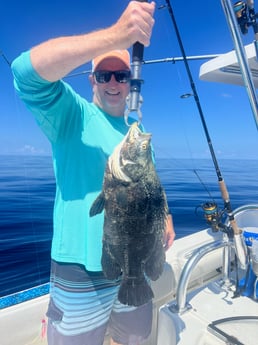 Tripletail Fishing in Tavernier, Florida