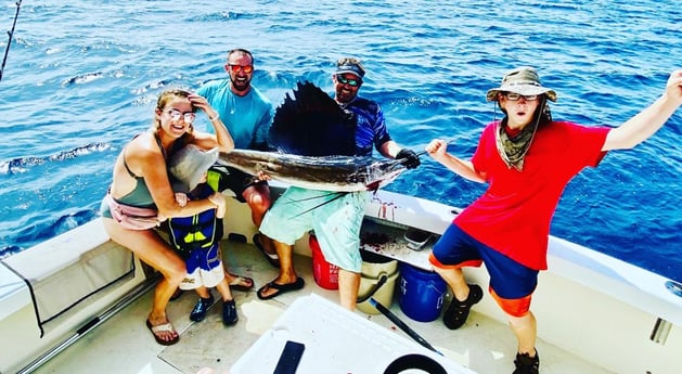 Sailfish Fishing in Pompano Beach, Florida