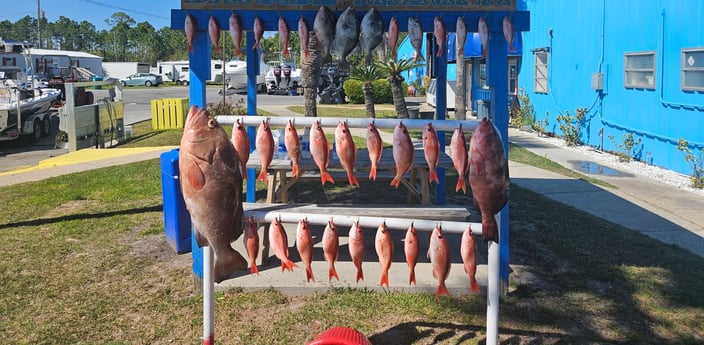 Fishing in Lynn Haven, Florida