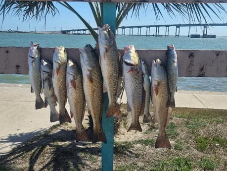 Fishing in Aransas Pass, Texas