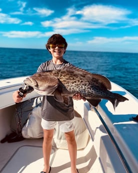 Gag Grouper fishing in Santa Rosa Beach, Florida, USA