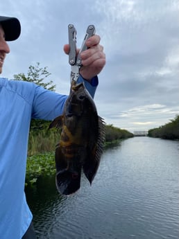 Fishing in Weston, Florida