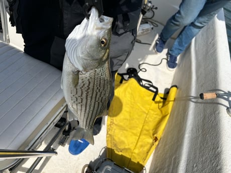 Fishing in Mooresville, North Carolina