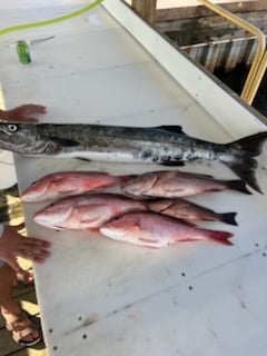 Fishing in Pensacola, Florida