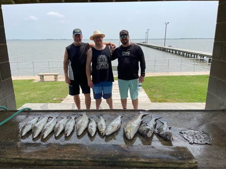 Black Drum, Redfish, Speckled Trout Fishing in Palacios, Texas