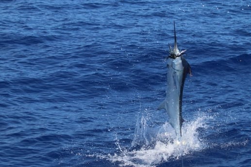 Fishing in Kailua-Kona, Hawaii