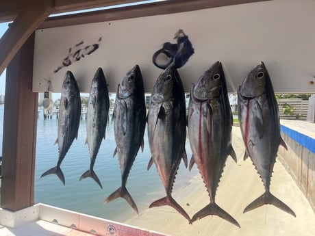 Fishing in Jupiter, Florida