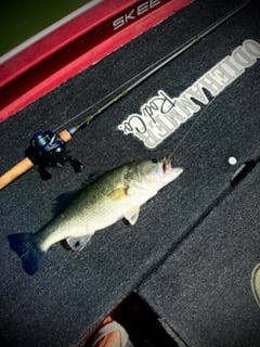 Fishing in Alba, Texas