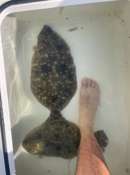 Flounder fishing in