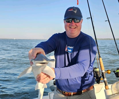 Bonnethead Shark Fishing in Mount Pleasant, South Carolina