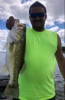 Largemouth Bass fishing in Lake Fork, Texas