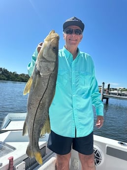 Fishing in Sarasota, Florida
