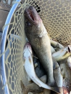 Fishing in Port Clinton, Ohio