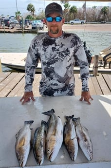 Speckled Trout / Spotted Seatrout fishing in Tiki Island, Texas
