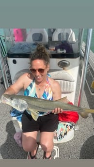 Fishing in Marco Island, Florida