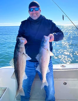 Hybrid Striped Bass Fishing in Stone Harbor, New Jersey