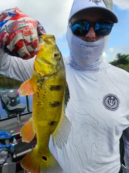 Fishing in Deerfield Beach, Florida