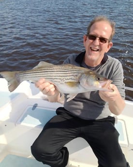 Hybrid Striped Bass Fishing in Trails End Road, Wilmington, N, North Carolina