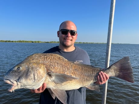 Black Drum Fishing in New Orleans, Louisiana