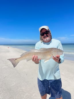 Fishing in Sarasota, Florida