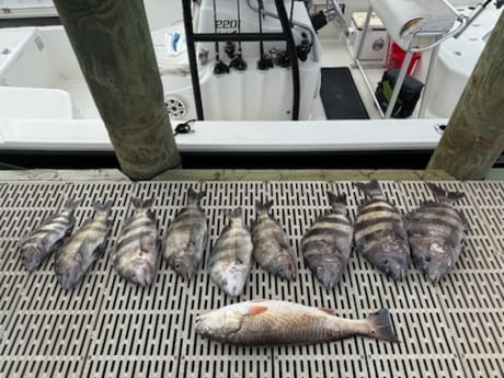 Fishing in Summerdale, Alabama