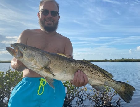 Speckled Trout / Spotted Seatrout fishing in New Smyrna Beach, Florida
