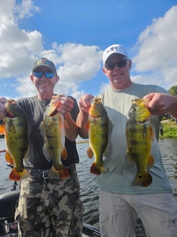 Fishing in Deerfield Beach, Florida