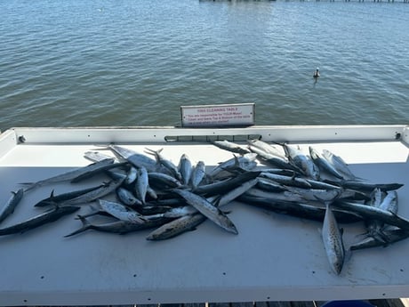 Fishing in Foley, Alabama