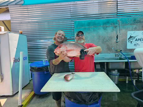Red Snapper Fishing in Destin, Florida