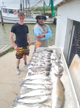 Fishing in Dickinson, Texas