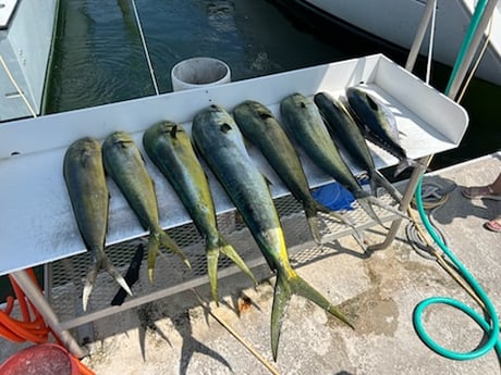 Fishing in Key West, Florida
