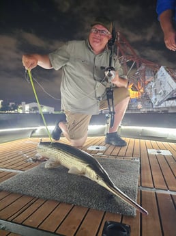 Fishing in Tampa, Florida