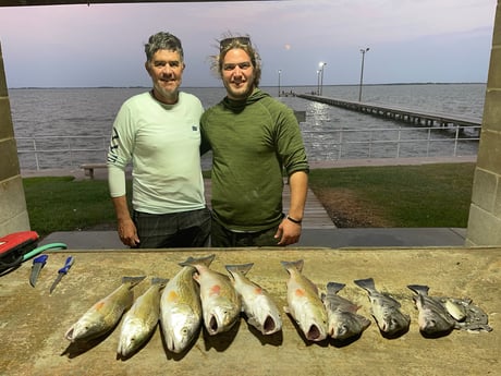 Black Drum, Redfish Fishing in Palacios, Texas