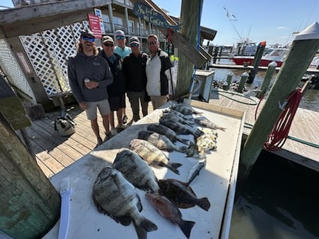 Fishing in Gulf Shores, Alabama